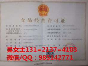 代辦密云區(qū)餐飲衛(wèi)生許可證 餐飲服務(wù)流程和費用